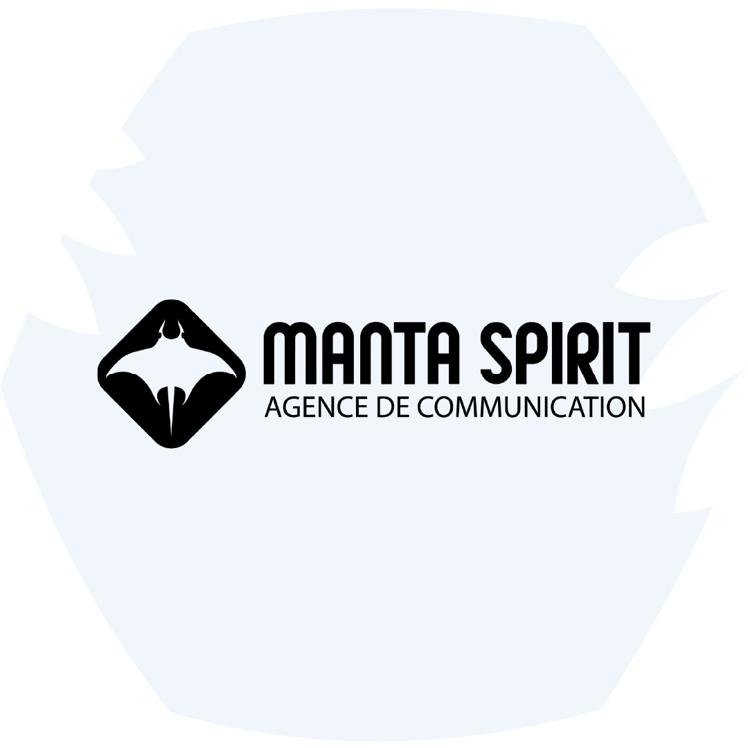 Agence Manta Spirit (Pau)