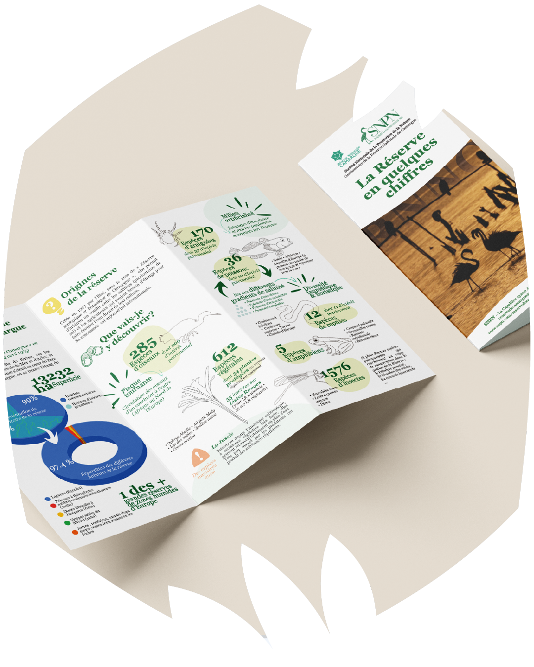 Flyer 3 volets Reserve Nationale de Camargue (2023)