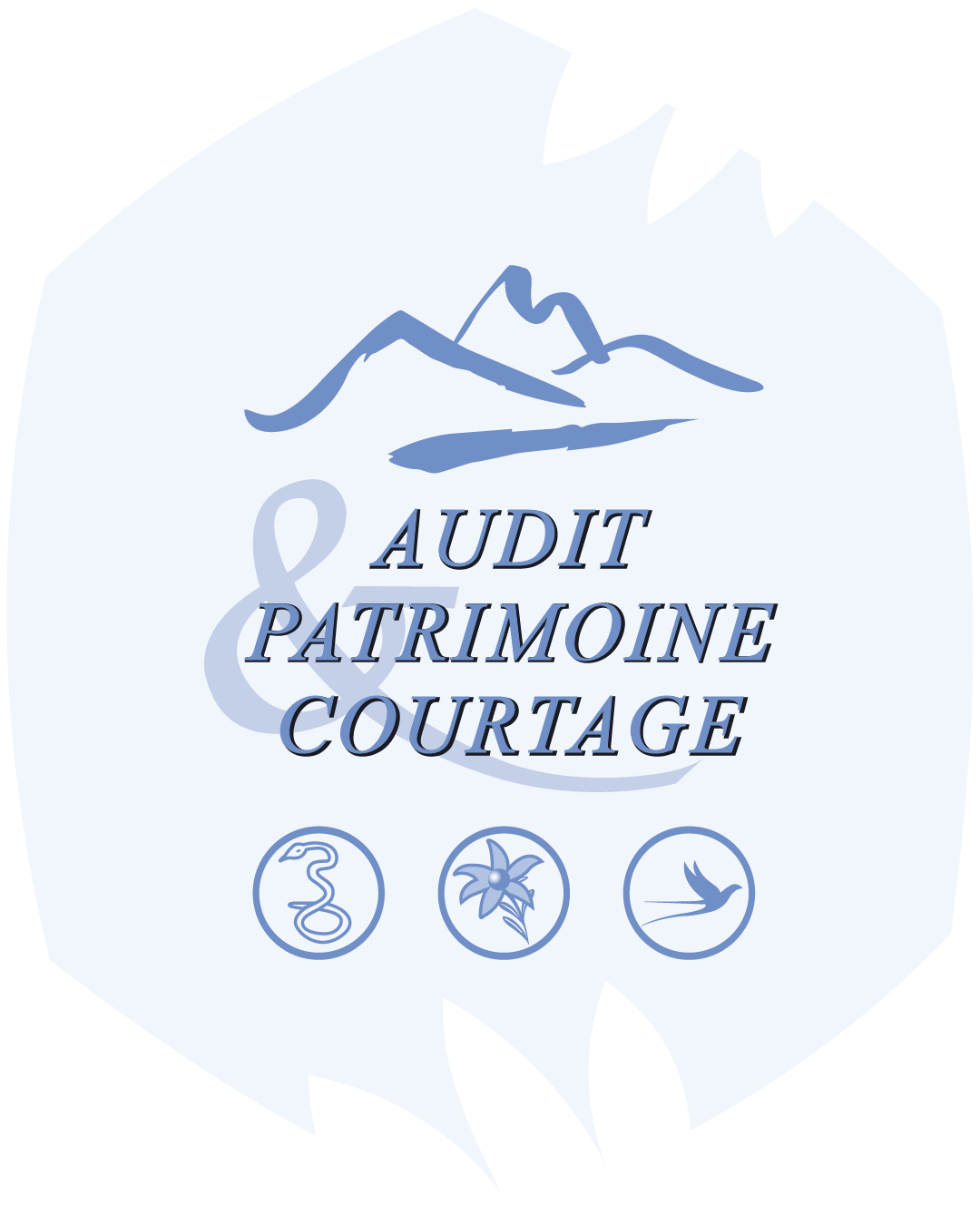 Logo Audit Patrimoine et Courtage (2024)
